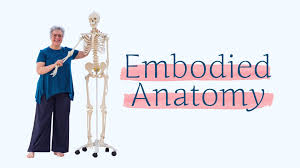 Embodied Anatomy