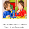 Entheos Academy - How To Parent Through Toddlerhood (Years 1-4) with Carrie Contey