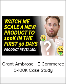 Grant Ambrose - E-Commerce 0-100K Case Study