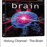 History Channel - The Brain