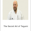 Iain Abemethy - The Secret Art of Tegumi