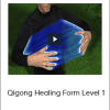 Jeff Primack - Qigong Healing Form Level 1