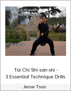 Jesse Tsao - Tai Chi Shi-san-shi - 13 Essential Technique Drills