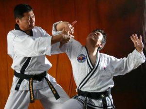 Lee Chang-soo - Hapkido Essentials