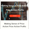 Making Sense of Price Action Price Action Profits