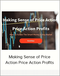 Making Sense of Price Action Price Action Profits