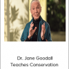 Masterclass - Dr. Jane Goodall Teaches Conservation