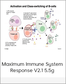 Maximum Immune System Response V2.1 5.5g