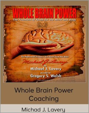 Michad J. Lavery - Whole Brain Power Coaching