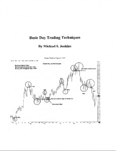 Michael Jenkins - Basic Day Trading Techniques