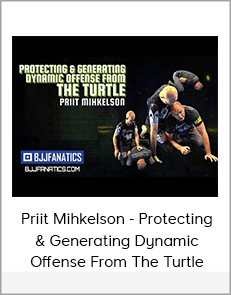 Priit Mihkelson - Protecting & Generating Dynamic Offense From The Turtle