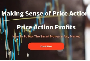 Making Sense of Price Action Price Action Profits