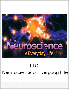 TTC - Neuroscience of Everyday Life