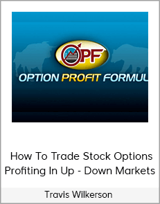 Travis Wilkerson - How To Trade Stock Options - Profiting In Up And Down Markets