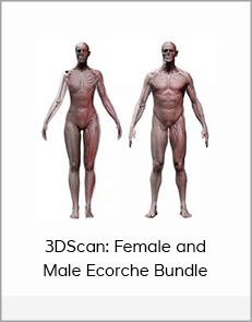 3DScan: Female and Male Ecorche Bundle