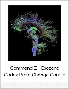 Command Z - Esozone Codex Brain Change Course