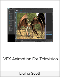 Elaina Scott – VFX Animation For Television