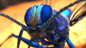 Eric Keller – The Gnomon Workshop: Hyper–realistic Insect Design