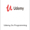 Example – Udemy Go Programming