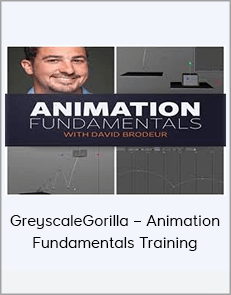 GreyscaleGorilla – Animation Fundamentals Training