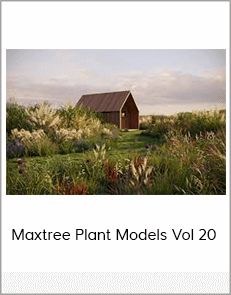 Maxtree Plant Models Vol 20