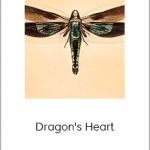 Phlearn Pro – Dragon's Heart