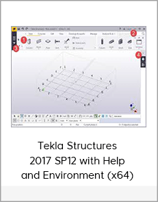 Tekla Structures 2017 SP12 with Help and Environment (x64)