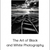 The Art of Black and White Photography