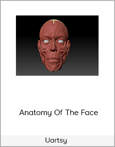 Uartsy – Anatomy Of The Face