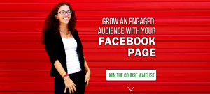 Moolah - FB Page Strategy Course