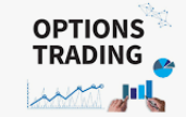 Pristine Seminar – Options Trading the Pristine Way