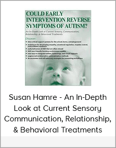 Susan Hamre - An In-Depth Look at Current Sensory, Communication, Relationship, & Behavioral Treatments