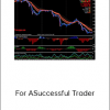 Strategies For ASuccessful Trader