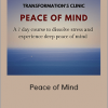 Danna Pycher - Peace of Mind (Transformation Clinic 2020)