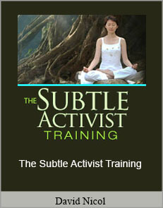 David Nicol - The Subtle Activist Training