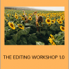 Heather Goodman - THE EDITING WORKSHOP 1.0 (HBGOODIE 2020)