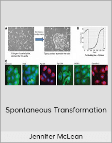 Jennifer McLean - Spontaneous Transformation