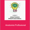 Passaportefreela - Anatomia Profissional (Hotmart 2020)