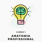 Passaportefreela - Anatomia Profissional (Hotmart 2020)