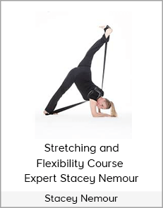 Stacey Nemour - Stretching and Flexibility Course - Expert Stacey Nemour (Academy for Dance, LLC © 2019)