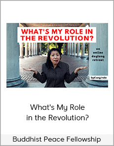 Buddhist Peace Fellowship - What's My Role in the Revolution?