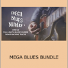 David Wallimann, Robert Renman - MEGA BLUES BUNDLE