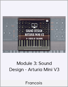 Francois - Module 3: Sound Design - Arturia Mini V3