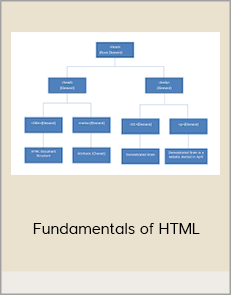 Fundamentals of HTML