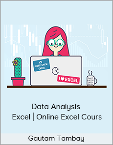 Gautam Tambay - Data Analysis - Excel | Online Excel Cours