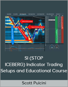 Scott Pulcini – SI (STOP ICEBERG) Indicator Trading Setups and Educational Course