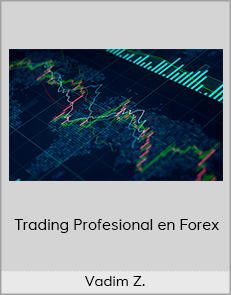 Vadim Z. - Trading Profesional en Forex (Dinka Financial 2020)