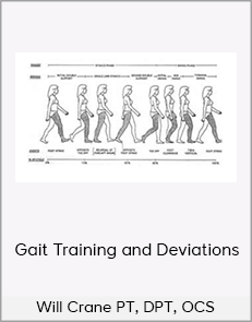 Will Crane PT, DPT, OCS - Gait Training and Deviations