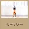 Dylan Werner - FlyStrong System