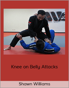 Shawn Williams - Knee on Belly Attacks